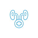 Prevención de Enfermedades Urológicas Icon